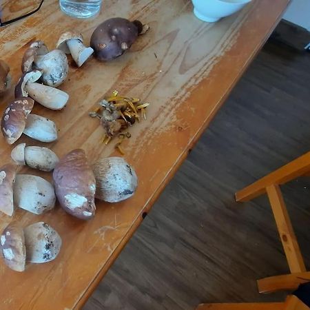 Appartement Vercors 4 Personnes Autrans-Meaudre-en-Vercors Exterior foto